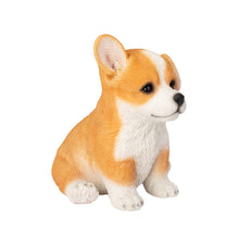 Load image into Gallery viewer, SoReal - Corgi
