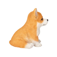 Load image into Gallery viewer, SoReal - Corgi
