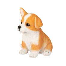 Load image into Gallery viewer, SoReal - Corgi
