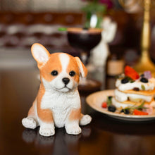 Load image into Gallery viewer, SoReal - Corgi
