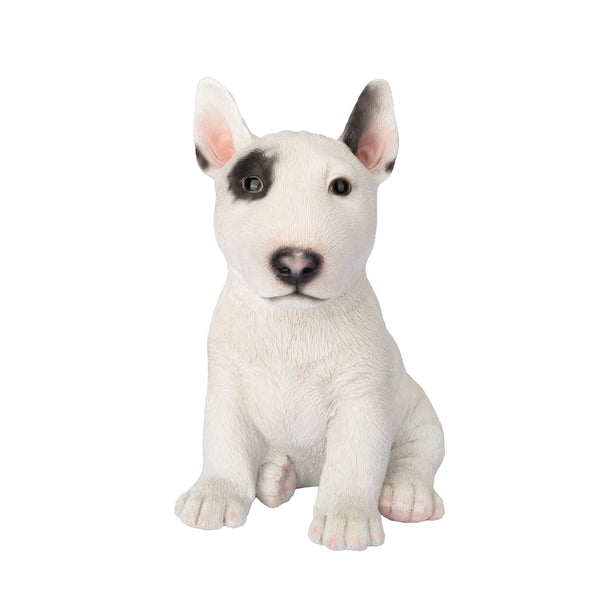 SoReal - Bull Terrier