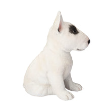 Load image into Gallery viewer, SoReal - Bull Terrier
