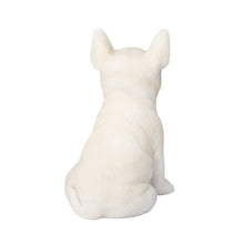 Load image into Gallery viewer, SoReal - Bull Terrier
