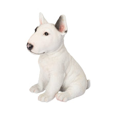 Load image into Gallery viewer, SoReal - Bull Terrier
