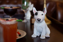 Load image into Gallery viewer, SoReal - Bull Terrier

