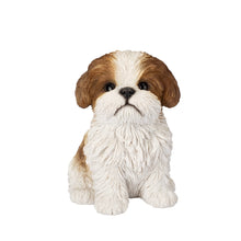 Load image into Gallery viewer, SoReal - Shih Tzu Sitting

