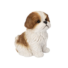 Load image into Gallery viewer, SoReal - Shih Tzu Sitting
