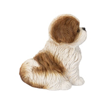 Load image into Gallery viewer, SoReal - Shih Tzu Sitting
