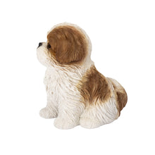 Load image into Gallery viewer, SoReal - Shih Tzu Sitting
