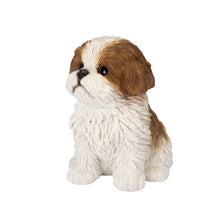 Load image into Gallery viewer, SoReal - Shih Tzu Sitting

