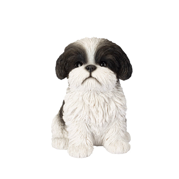 SoReal - Shih Tzu Sitting