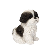 Load image into Gallery viewer, SoReal - Shih Tzu Sitting
