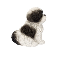 Load image into Gallery viewer, SoReal - Shih Tzu Sitting
