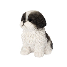 Load image into Gallery viewer, SoReal - Shih Tzu Sitting
