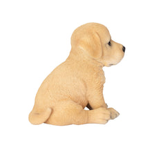 Load image into Gallery viewer, SoReal - Labrador
