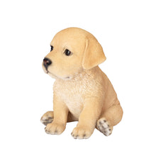 Load image into Gallery viewer, SoReal - Labrador
