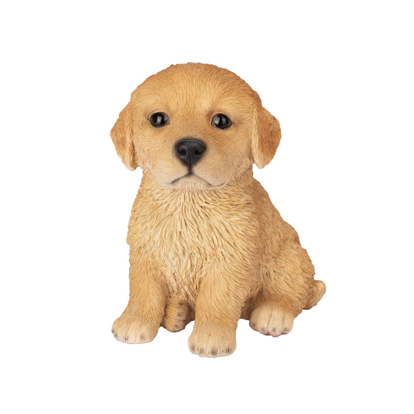 SoReal - Golden Retriever