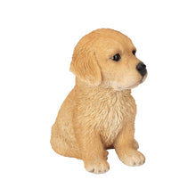 Load image into Gallery viewer, SoReal - Golden Retriever
