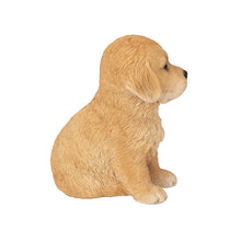 Load image into Gallery viewer, SoReal - Golden Retriever
