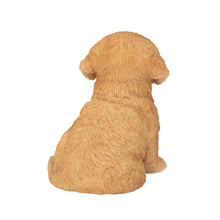 Load image into Gallery viewer, SoReal - Golden Retriever
