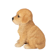Load image into Gallery viewer, SoReal - Golden Retriever
