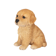 Load image into Gallery viewer, SoReal - Golden Retriever
