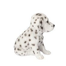Load image into Gallery viewer, SoReal - Dalmatian
