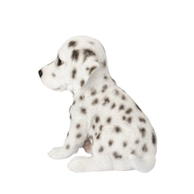 Load image into Gallery viewer, SoReal - Dalmatian
