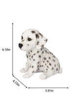 Load image into Gallery viewer, SoReal - Dalmatian
