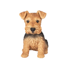Load image into Gallery viewer, SoReal - Welsh Terrier
