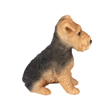 Load image into Gallery viewer, SoReal - Welsh Terrier
