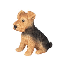 Load image into Gallery viewer, SoReal - Welsh Terrier
