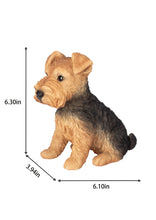 Load image into Gallery viewer, SoReal - Welsh Terrier
