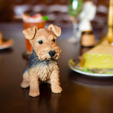 Load image into Gallery viewer, SoReal - Welsh Terrier
