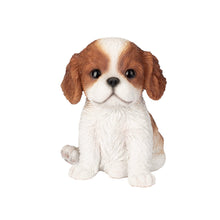 Load image into Gallery viewer, SoReal - King Charles
