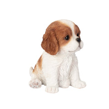Load image into Gallery viewer, SoReal - King Charles
