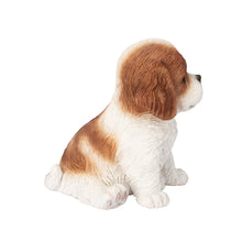 Load image into Gallery viewer, SoReal - King Charles
