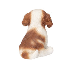 Load image into Gallery viewer, SoReal - King Charles
