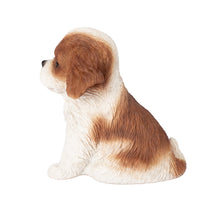 Load image into Gallery viewer, SoReal - King Charles
