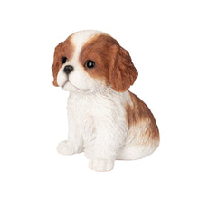 Load image into Gallery viewer, SoReal - King Charles
