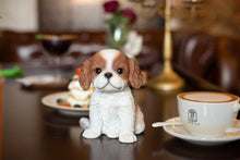 Load image into Gallery viewer, SoReal - King Charles
