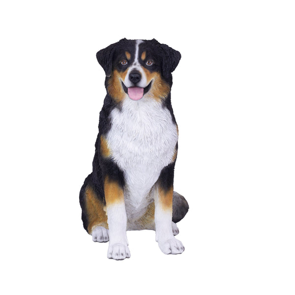 SoReal - Australian Shepherd