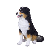 Load image into Gallery viewer, SoReal - Australian Shepherd
