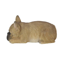 Load image into Gallery viewer, SoReal - French Bulldog
