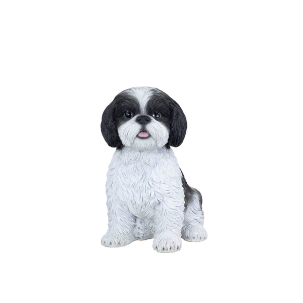 SoReal - Shih Tzu Black