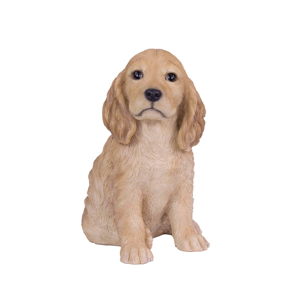 SoReal - Golden Cockapoo