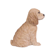 Load image into Gallery viewer, SoReal - Golden Cockapoo
