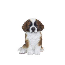 Load image into Gallery viewer, SoReal - Saint Bernard
