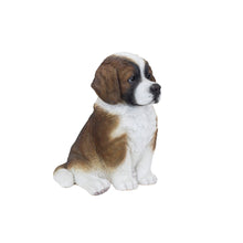 Load image into Gallery viewer, SoReal - Saint Bernard
