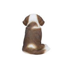 Load image into Gallery viewer, SoReal - Saint Bernard
